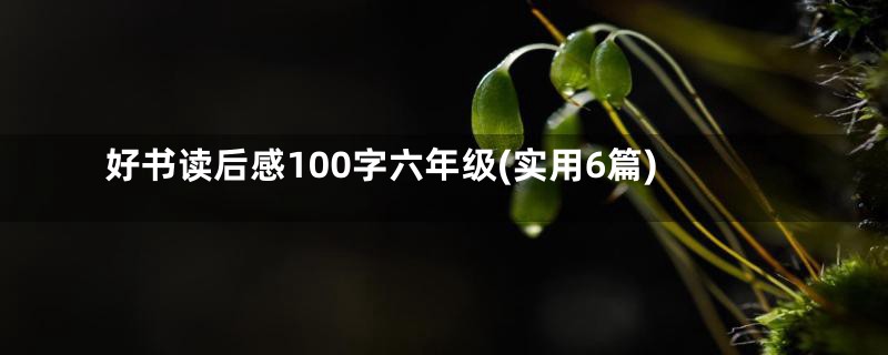 好书读后感100字六年级(实用6篇)