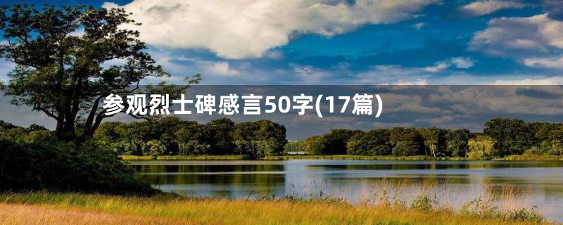 参观烈士碑感言50字(17篇)