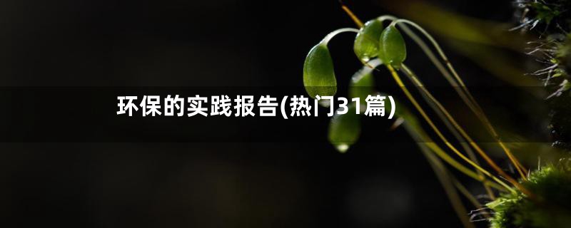 环保的实践报告(热门31篇)