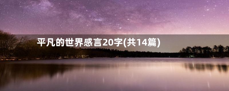 平凡的世界感言20字(共14篇)