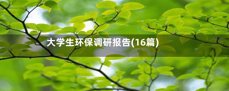 大学生环保调研报告(16篇)