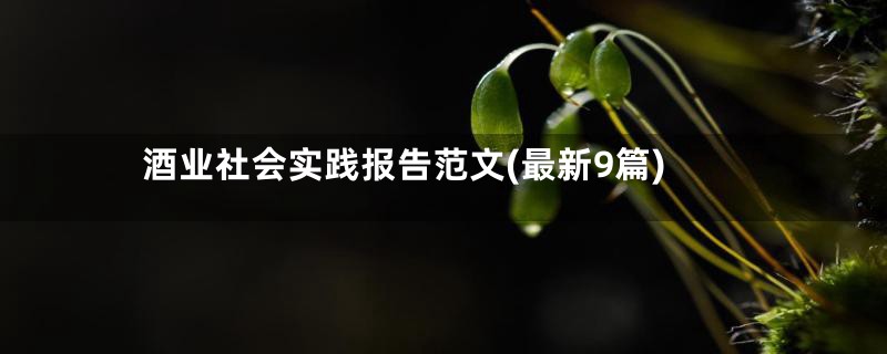 酒业社会实践报告范文(最新9篇)