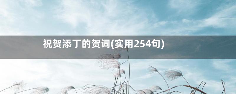 祝贺添丁的贺词(实用254句)