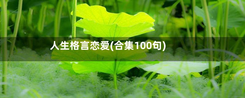 人生格言恋爱(合集100句)