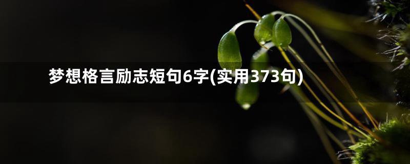 梦想格言励志短句6字(实用373句)