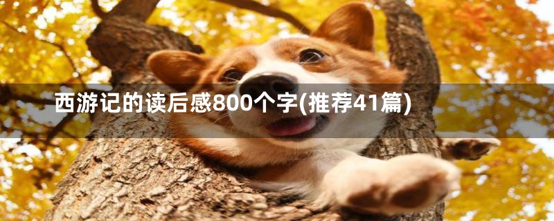 西游记的读后感800个字(推荐41篇)