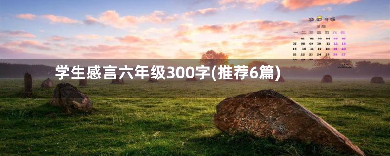 学生感言六年级300字(推荐6篇)