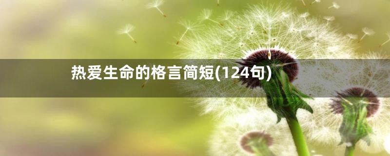 热爱生命的格言简短(124句)