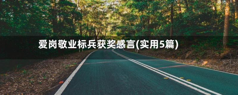 爱岗敬业标兵获奖感言(实用5篇)