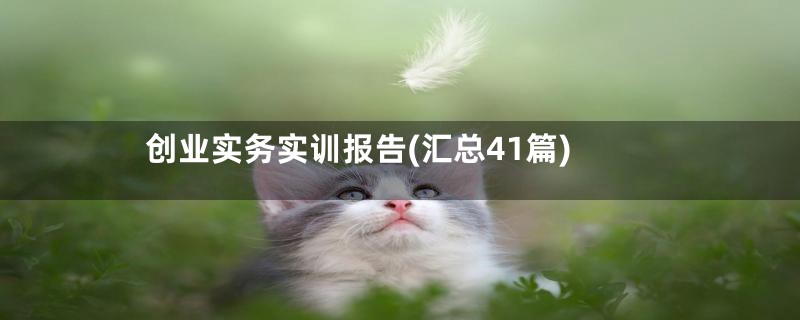 创业实务实训报告(汇总41篇)