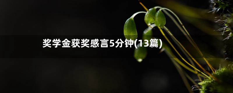 奖学金获奖感言5分钟(13篇)