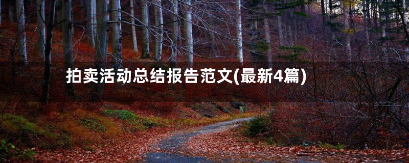 拍卖活动总结报告范文(最新4篇)