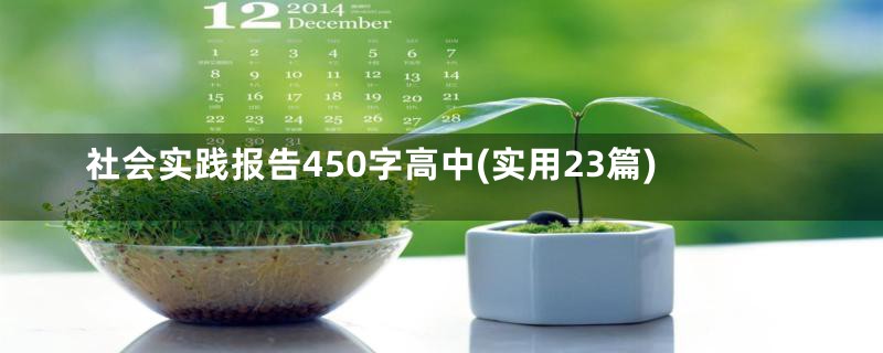 社会实践报告450字高中(实用23篇)