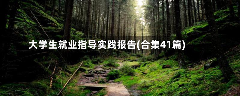 大学生就业指导实践报告(合集41篇)