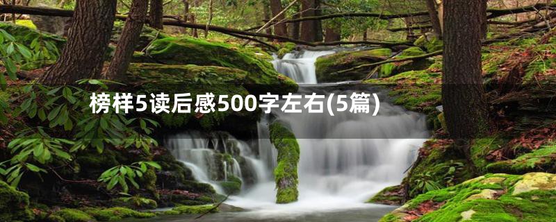 榜样5读后感500字左右(5篇)