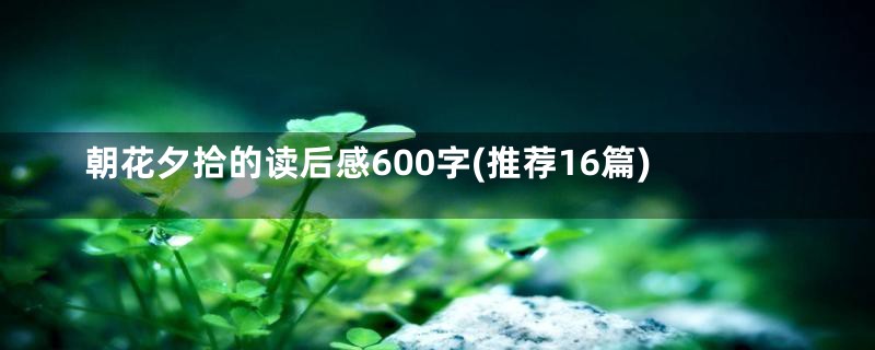 朝花夕拾的读后感600字(推荐16篇)