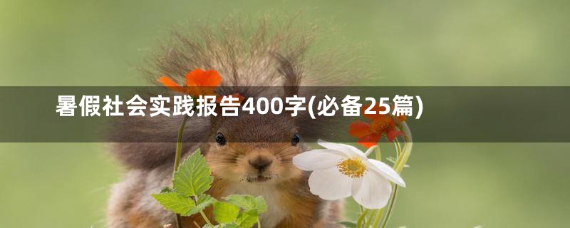 暑假社会实践报告400字(必备25篇)