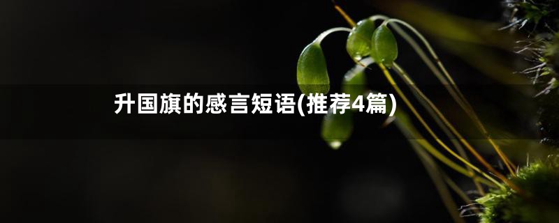 升国旗的感言短语(推荐4篇)