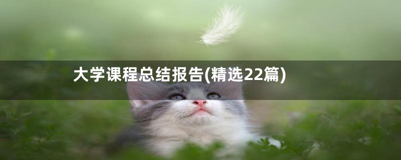 大学课程总结报告(精选22篇)