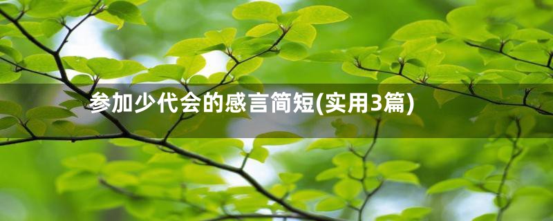 参加少代会的感言简短(实用3篇)