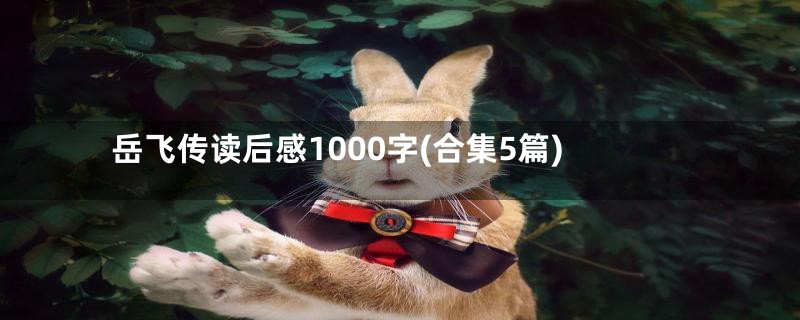 岳飞传读后感1000字(合集5篇)