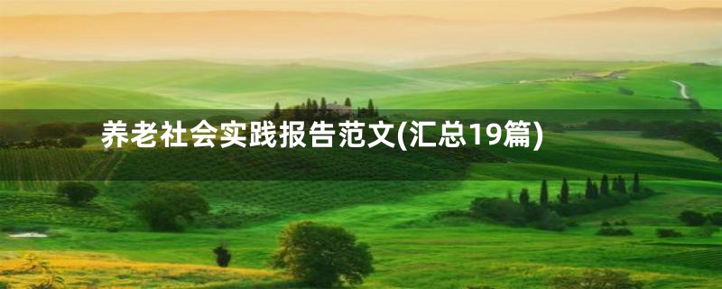 养老社会实践报告范文(汇总19篇)