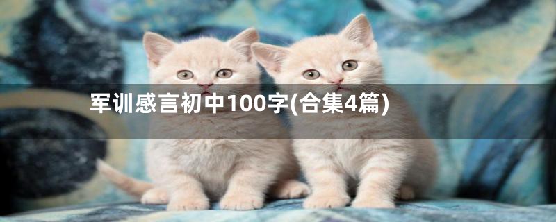 军训感言初中100字(合集4篇)