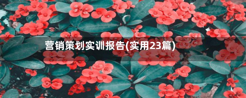 营销策划实训报告(实用23篇)