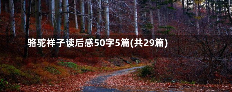 骆驼祥子读后感50字5篇(共29篇)