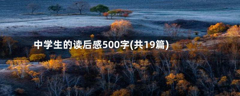 中学生的读后感500字(共19篇)