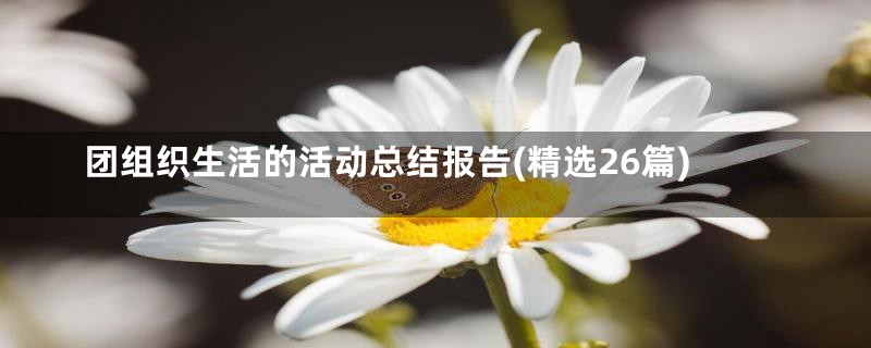 团组织生活的活动总结报告(精选26篇)