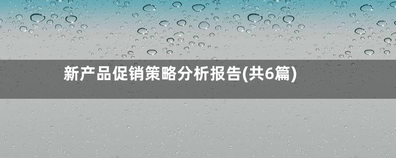 新产品促销策略分析报告(共6篇)