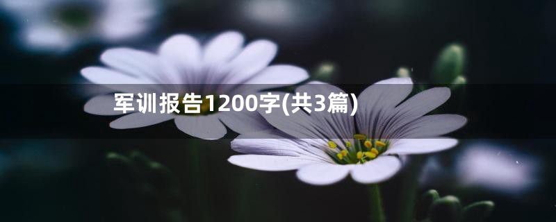 军训报告1200字(共3篇)