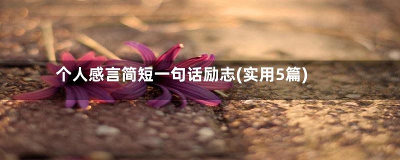 个人感言简短一句话励志(实用5篇)