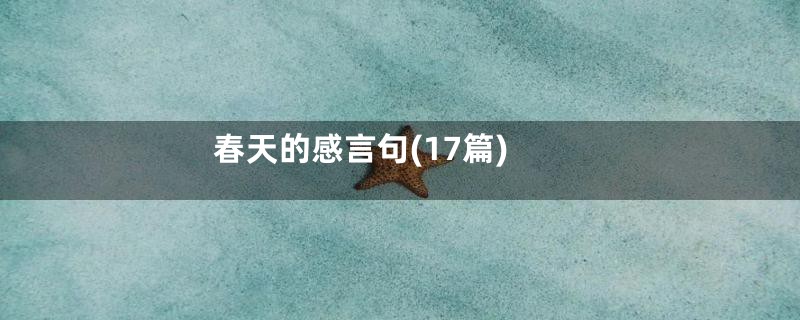 春天的感言句(17篇)