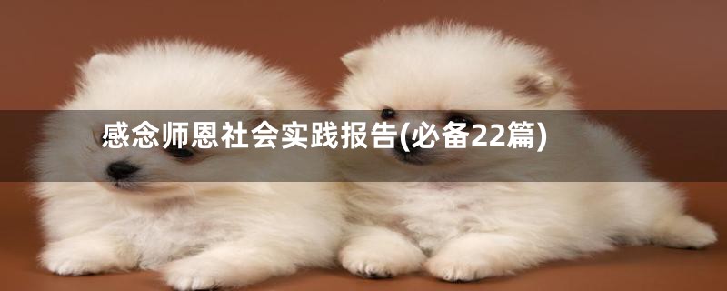 感念师恩社会实践报告(必备22篇)