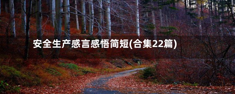 安全生产感言感悟简短(合集22篇)