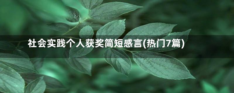 社会实践个人获奖简短感言(热门7篇)