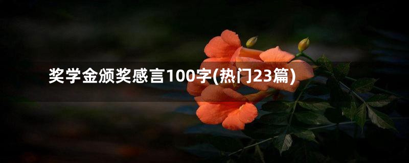 奖学金颁奖感言100字(热门23篇)