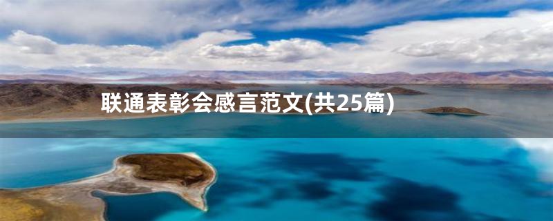 联通表彰会感言范文(共25篇)