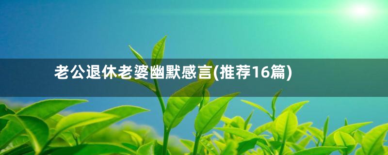 老公退休老婆幽默感言(推荐16篇)