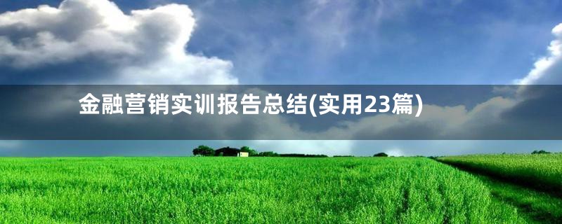 金融营销实训报告总结(实用23篇)