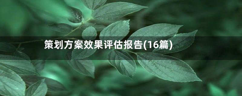 策划方案效果评估报告(16篇)