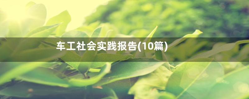 车工社会实践报告(10篇)