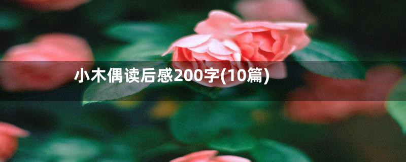 小木偶读后感200字(10篇)