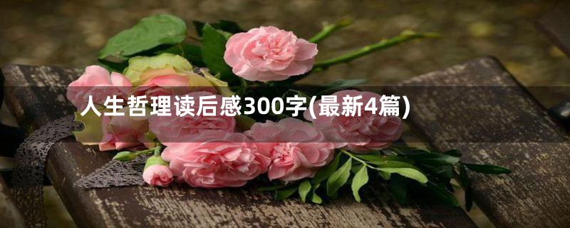 人生哲理读后感300字(最新4篇)