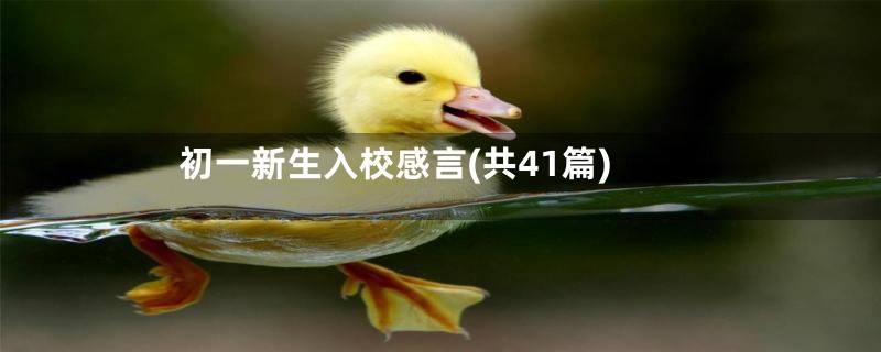 初一新生入校感言(共41篇)