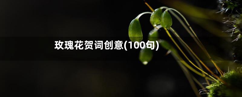 玫瑰花贺词创意(100句)