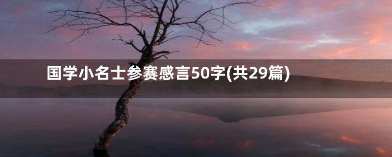 国学小名士参赛感言50字(共29篇)