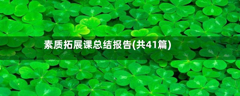 素质拓展课总结报告(共41篇)